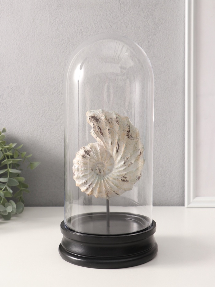 Фигурка в колбе «Ракушка плоскоспиральная», полистоун, 14×14×30 см
