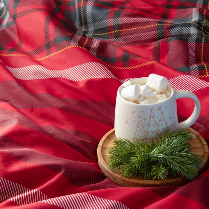Постельное бельё "Этель" евро Scottish holidays 200х217 см,220х240 см,70х70 см -2 шт,бязь 125 г/м2