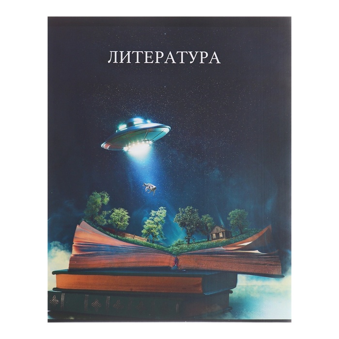 Набор предметных тетрадей 48 листов, Calligrata «Школьный стиль», 10 предметов