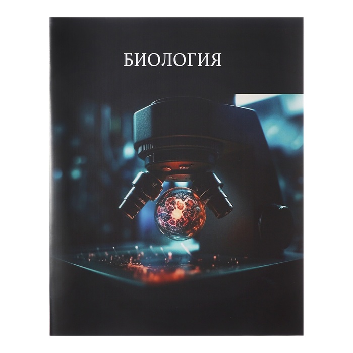 Набор предметных тетрадей 48 листов, Calligrata «Школьный стиль», 10 предметов